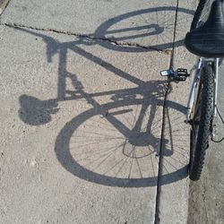 Harleys Davidson For Sale Bigboy No Miles 