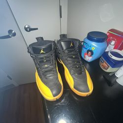 Jordan’s 12 University Gold