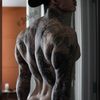 Luis