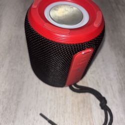 Swiss Vibe Speaker
