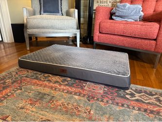 2 Orthopedic Dog Bed for Extra Large Dogs,
