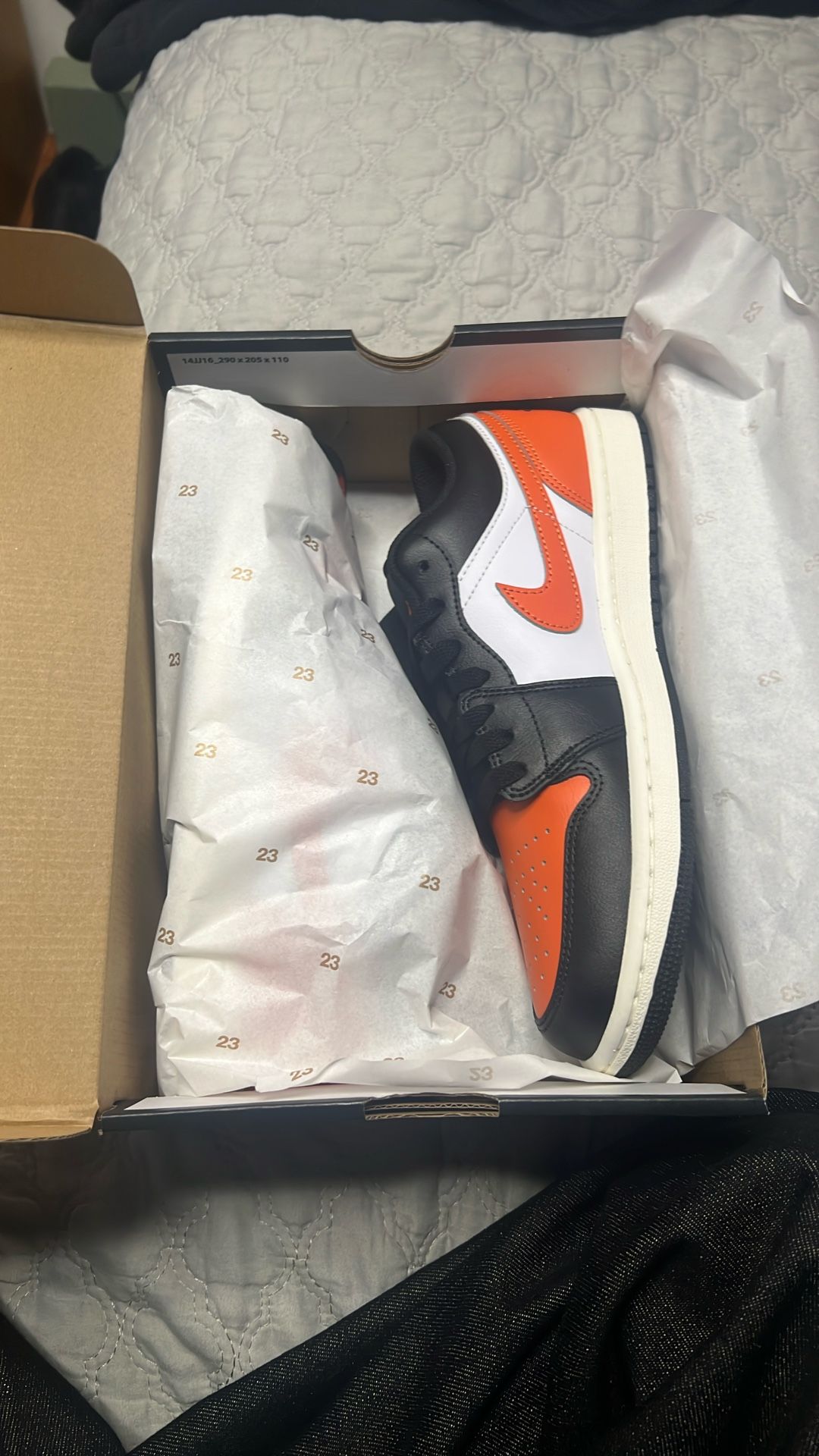 Jordan 1 Lows