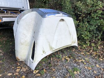 International truck, bus, minibus, hood , Rear bumper, both doors, 3200, year 2006. Hood has some heat damaged parts.