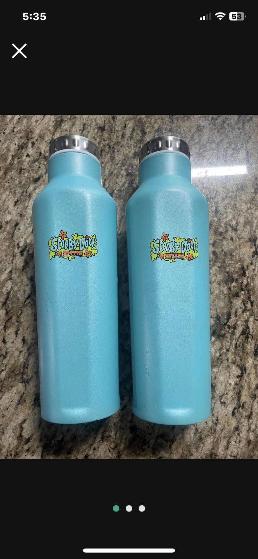 Each $15 Scooby-Doo Run Logo Double Wall Stainless Steel Water Bottle 20 OZ Works Flaw