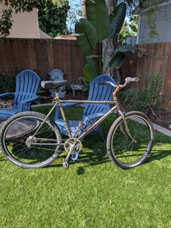 Cafe cruiser beach bike
