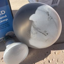 Swimming Pool Bulbs For Pool & Spa