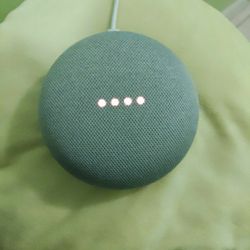Google Nest Mini