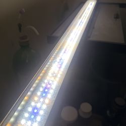 Fluval Plant Light