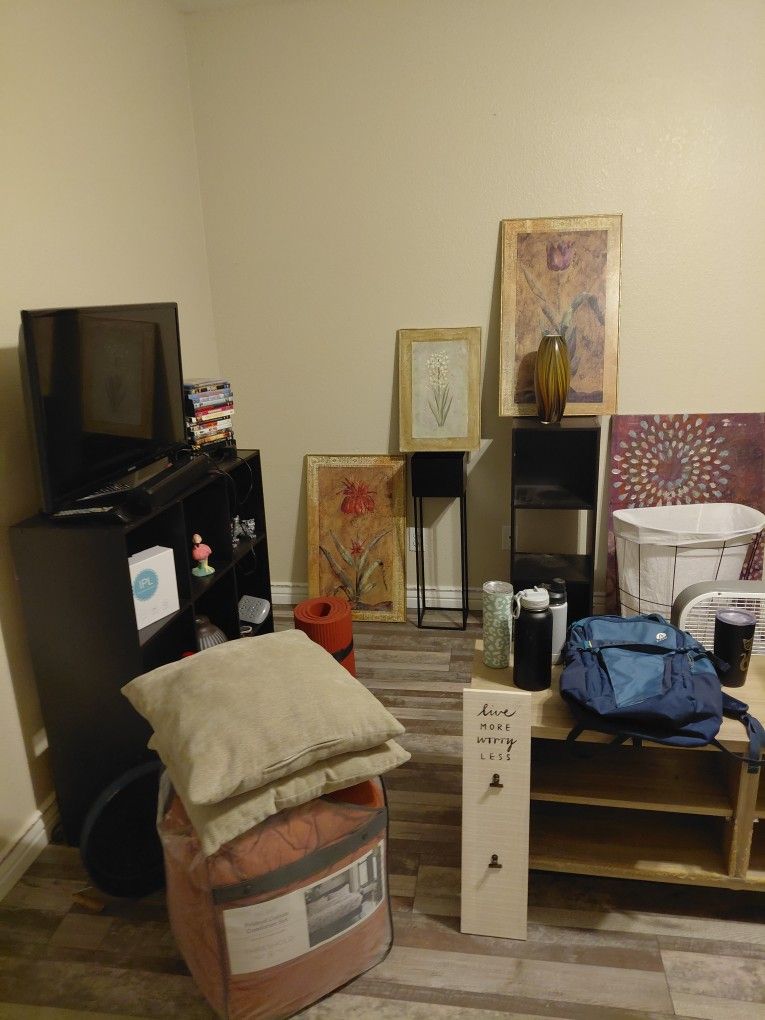 TV,Furniture,Paintings And More ! $100 Take all !!!