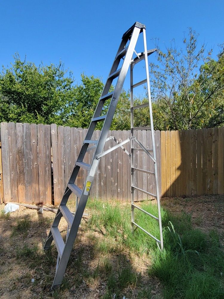 Ladder