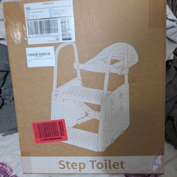 Step toilet