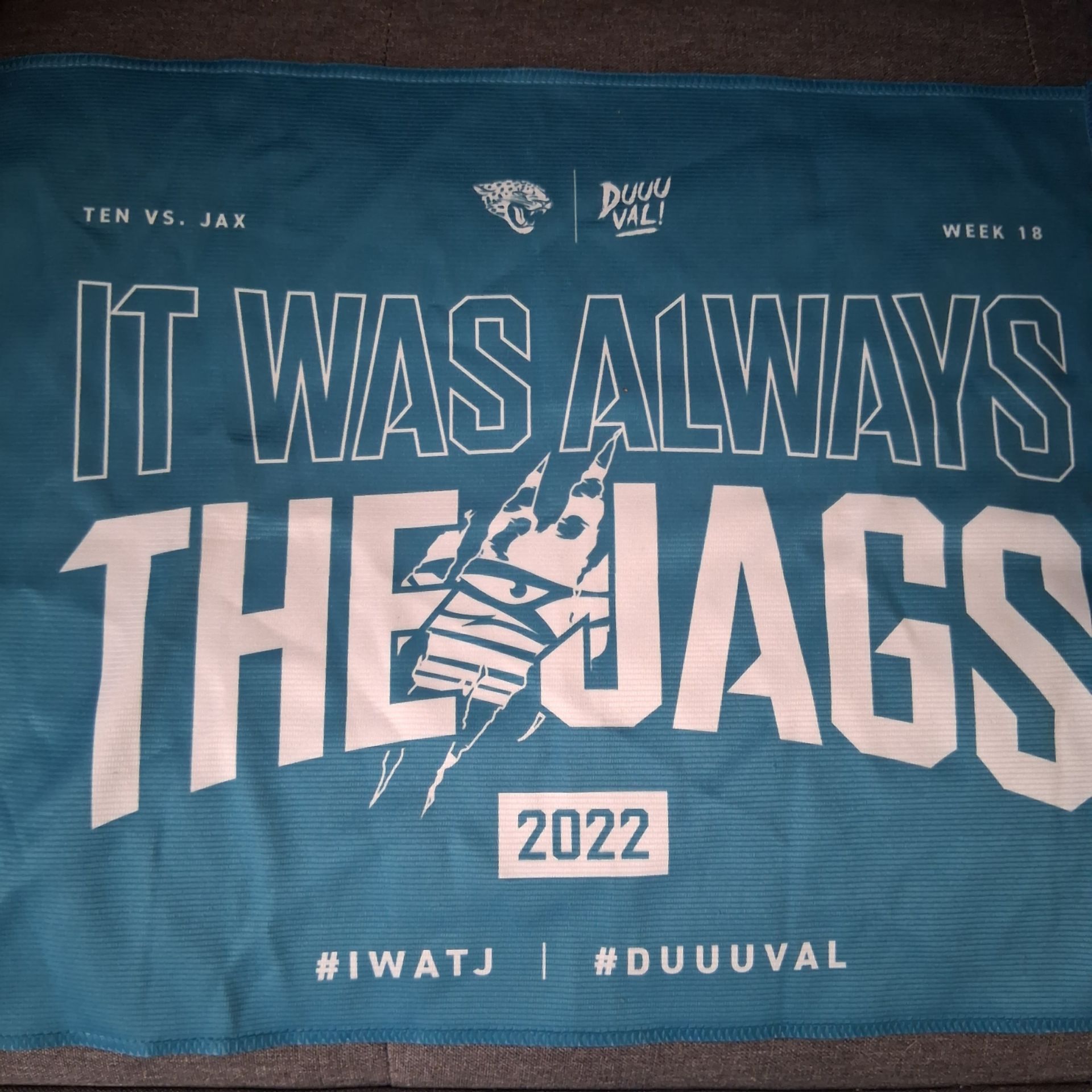 2 NFL Jacksonville Jaguars rally flags