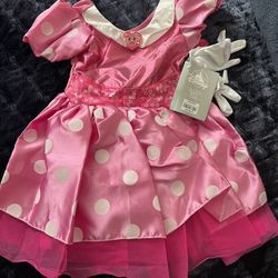 Minnie Mouse Custome