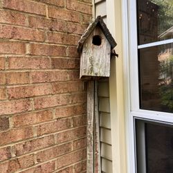 Free bird house