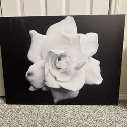 Wall Canvas Art Prints – $20 Each (Pick Your Favorite)
