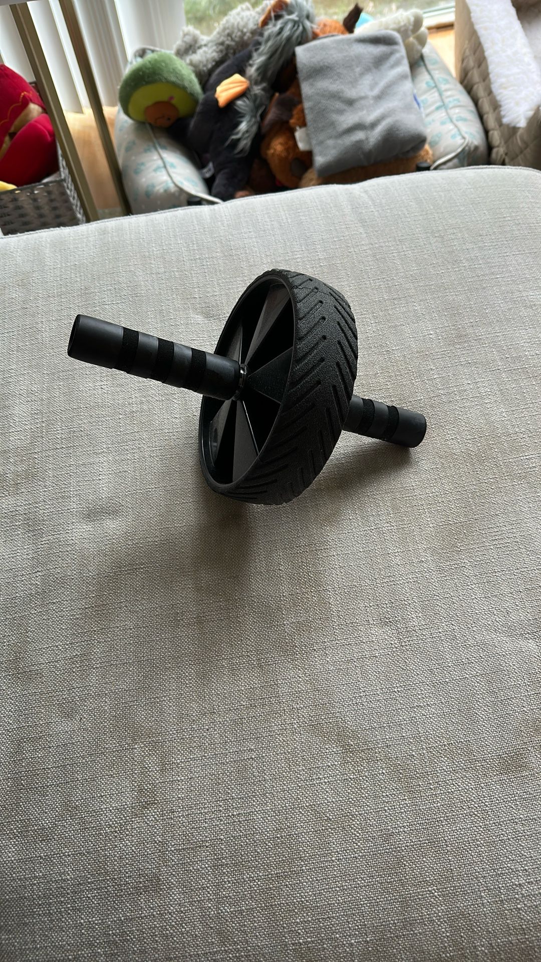 Ab Roller