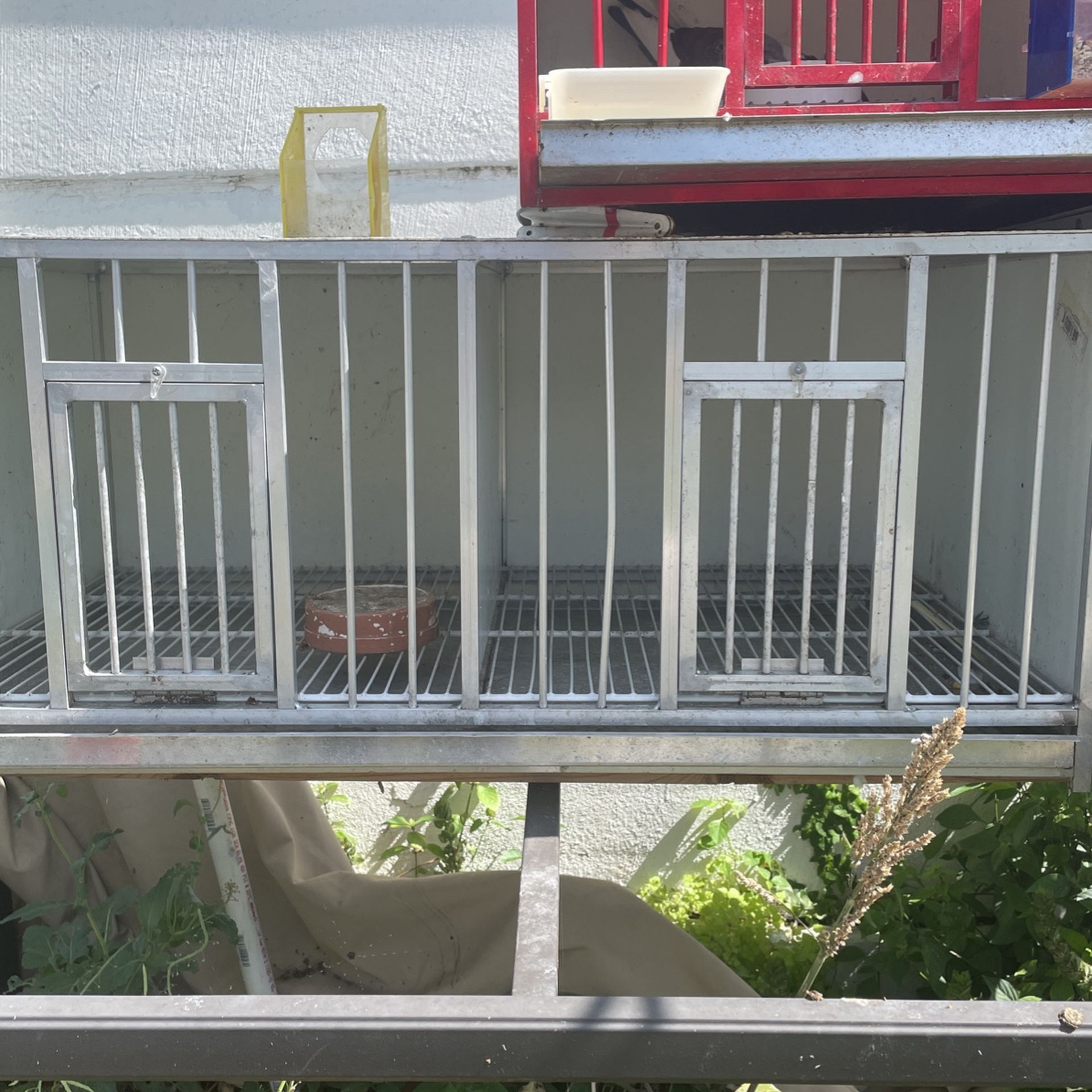 Pigeon Cages