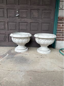 Large concrete urn planter