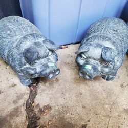 Pair Of Ceramic Pig Statues Door Stops??