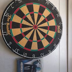 Dart Board and 2 steel tip chrome darts


