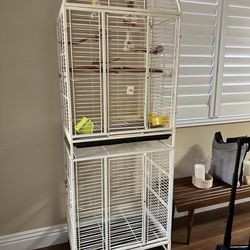 bird cage 