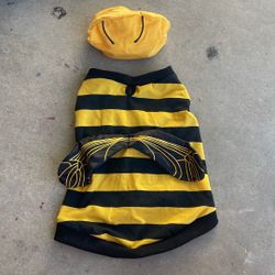 Bumble Bee Dog Halloween Costume