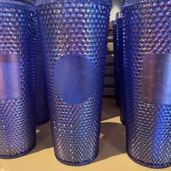 Starbucks Disneyland Tumbler Exclusive
