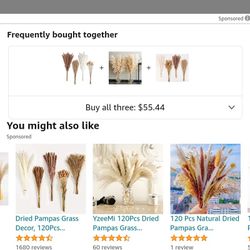 Decorative Palms