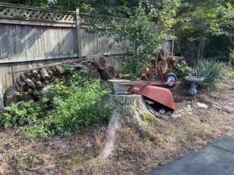 Seasoned Firewood