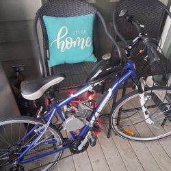 Road Bike W/ ZEDA 80 motor