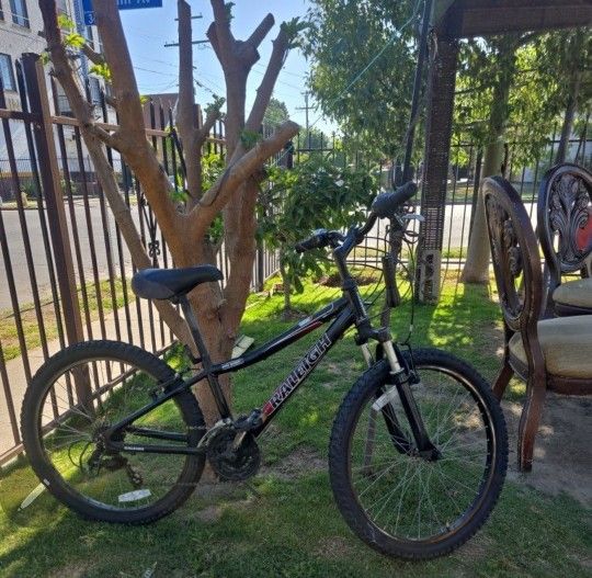 Montain Raleigh Bicicleta