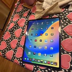 2018 Apple iPad Pro   12.9 Inch 3rd Generation 256GB with Screen Protector  N Case 