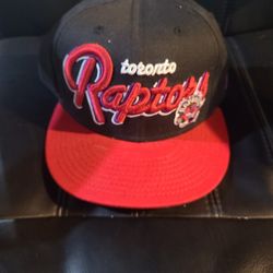 Toronto Raptors Hat