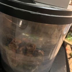 Fish Solution Fish Tanks