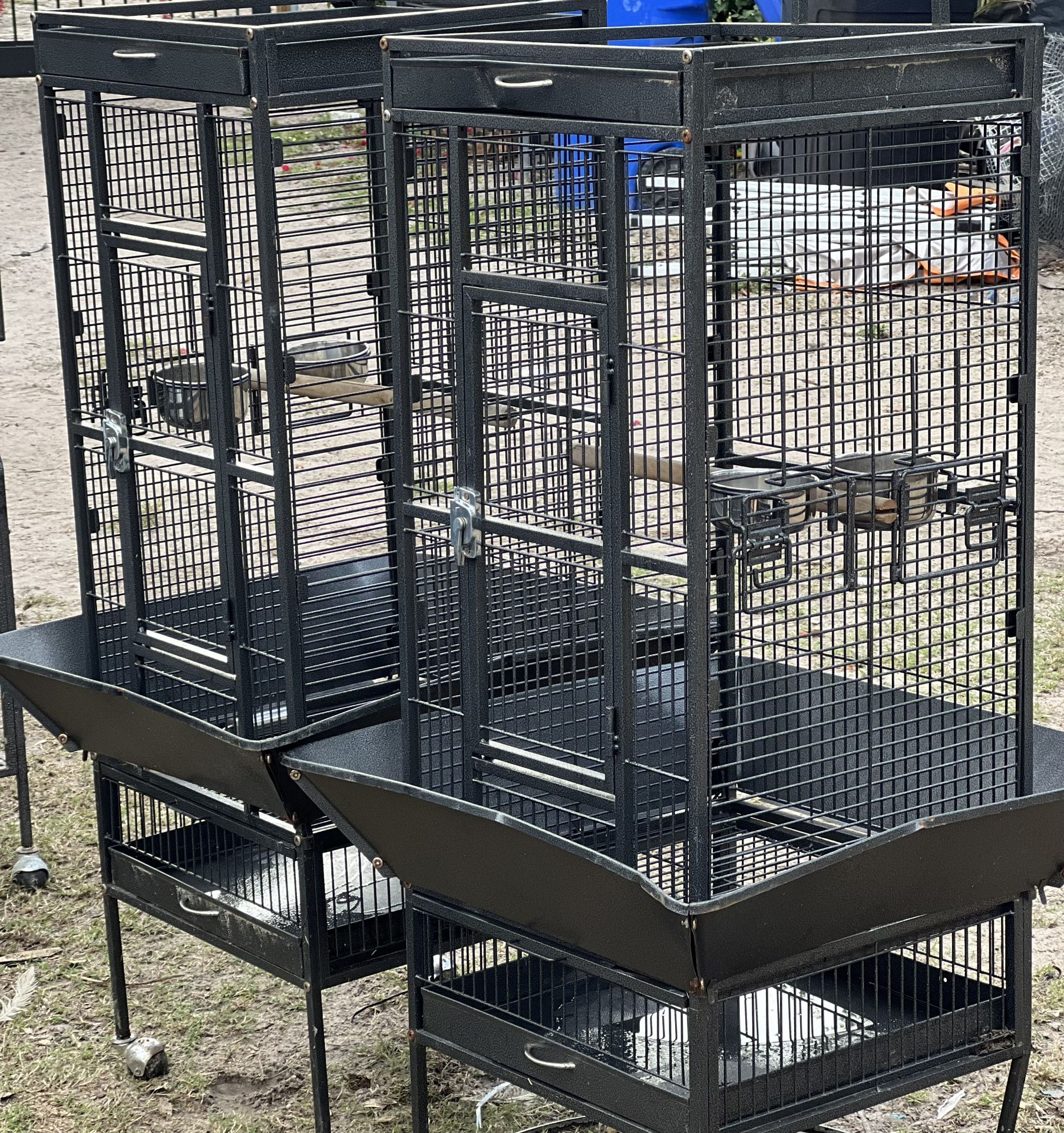 Bird Cage