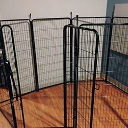 Dog Supplies Set