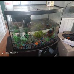 35 Gallon Bowfront 