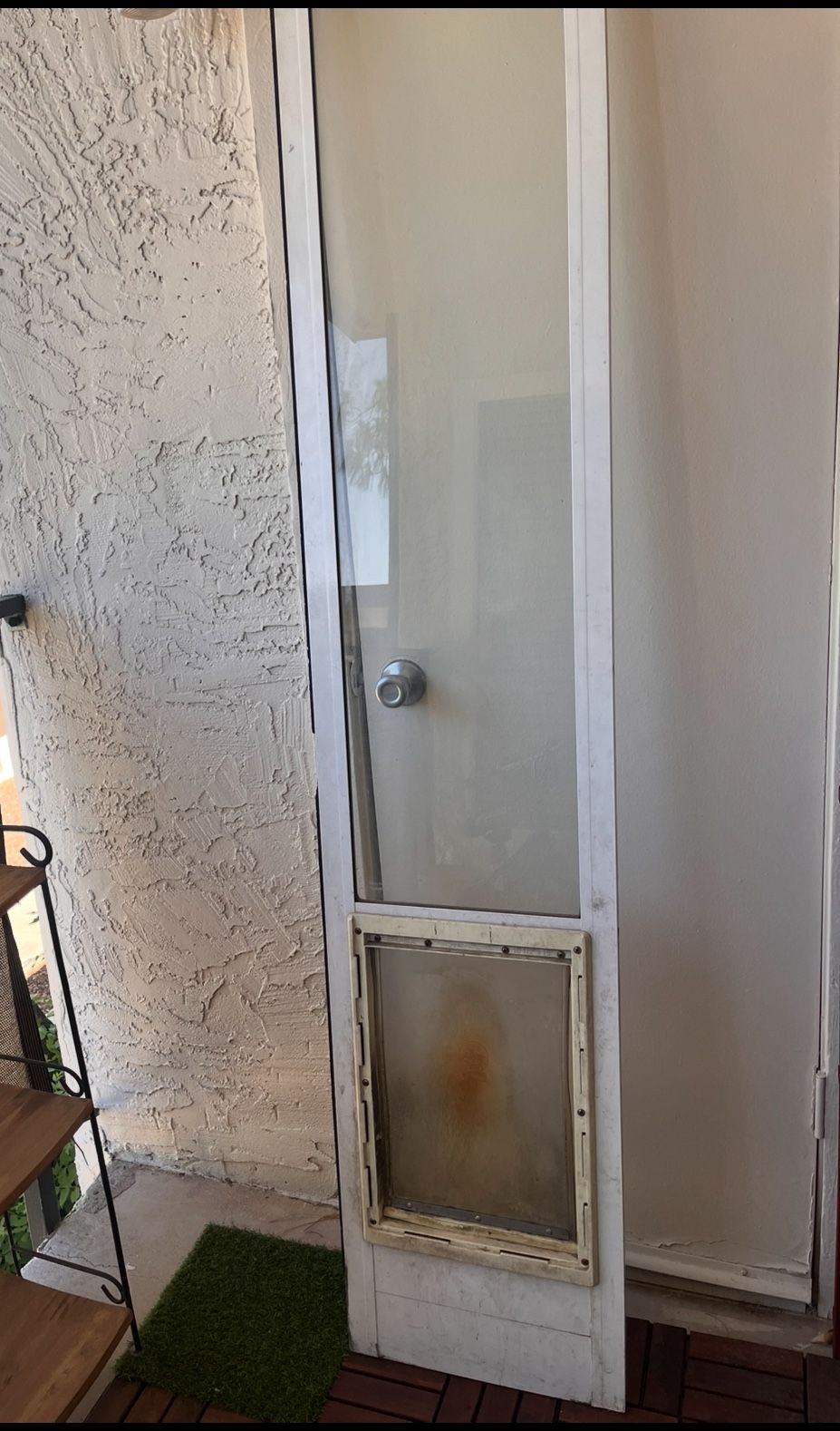 Dog Door