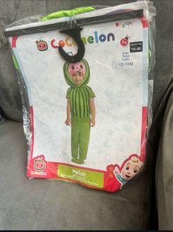 Infant costume