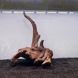 Natural Driftwood for Aquarium Decor Reptile Decor