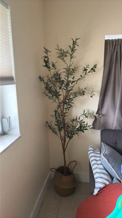 Large Faux Olive Tree in Woven Basket