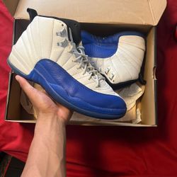 Blueberry Jordan 12s
