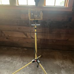 Stand light