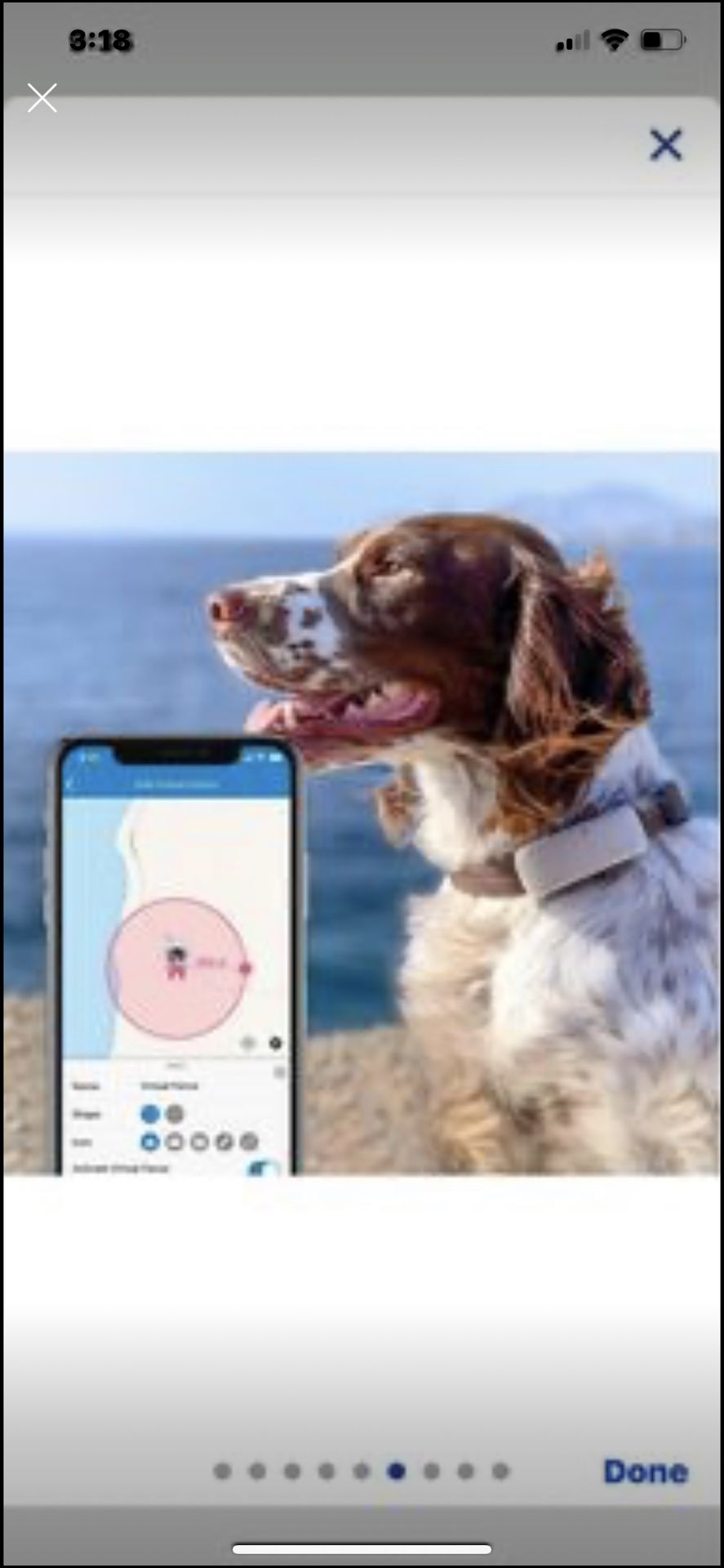 Gps Dog Tracker. Tractive Brand