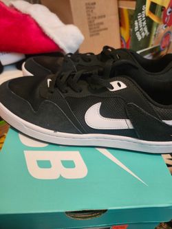 Men's Nike SB Shoes