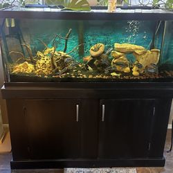 75 Gallon Glass Aquarium And Stand. 
