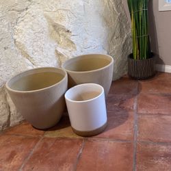 X-Large And Large Vases New