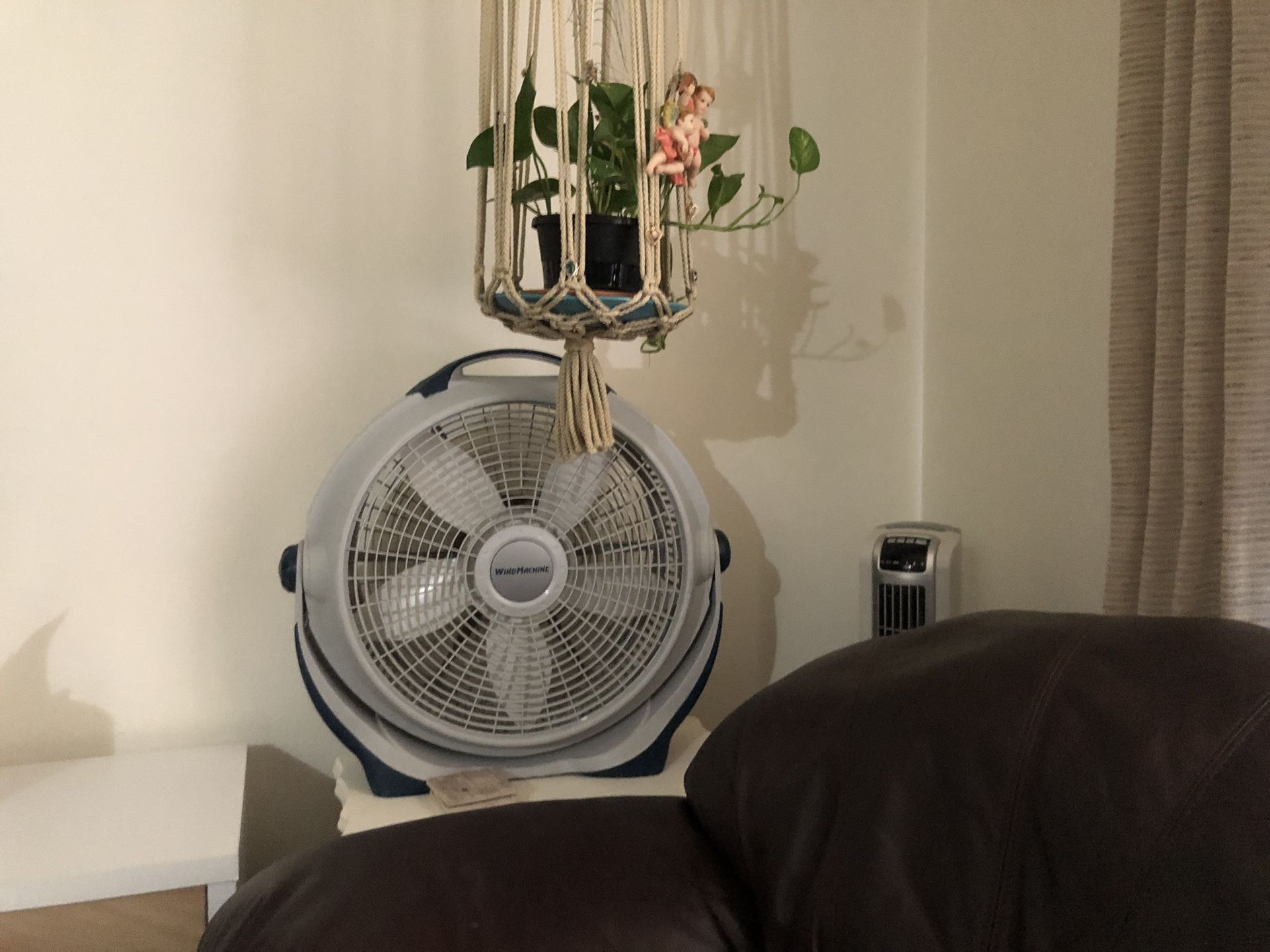 Fan 