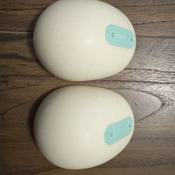 Willow 2.0 pump