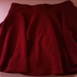 Womans Skirt Good Condition Size 2XLARGE $10.00